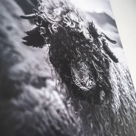 アパート Haus La Rocca By Premium