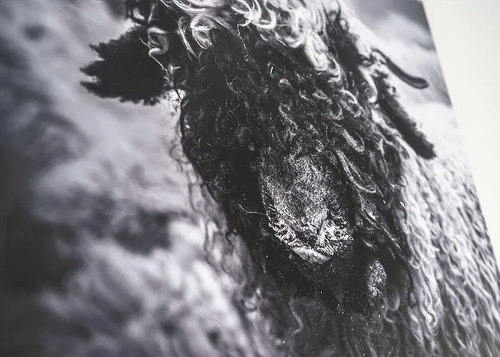 Lejlighed Haus La Rocca By Premium