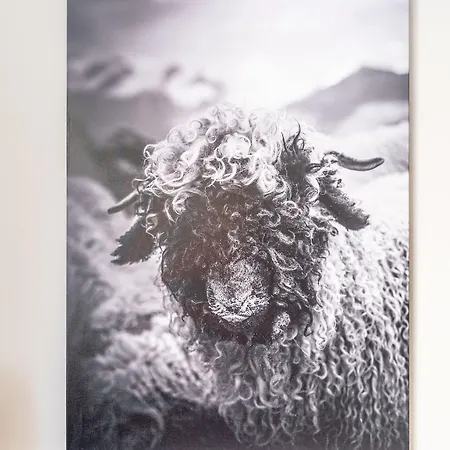 Haus La Rocca By Premium